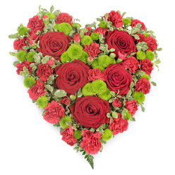 A deeply expressive, heart-shaped funeral tribute is photographed against a clean white backdrop, its sculpted outline and saturated colours immediately conveying emotion. The entire heart is packed tightly with flowers so that the surface appears lush and seamless, as though woven from petals. Scattered across this living canvas are large red roses, each bloom perfectly formed with tightly furled centres and gently opening outer petals, creating natural focal points that draw the eye from top to bottom. Surrounding these roses, clusters of red carnations and mini carnations fill every space, their frilly, layered petals giving the heart a soft, almost quilted texture in varying shades of crimson. Interspersed carefully through the red are bright lime-green button chrysanthemums, their neat, domed heads and finely textured florets delivering a striking colour contrast that feels contemporary yet comforting. At the edges and subtly between blooms, small sprigs of variegated foliage-pale cream-tipped green leaves-lightly frame the heart, enhancing its curves and adding depth. From the pointed tip at the base, a slender fern frond extends downward, providing a gentle sense of movement. The design feels both formal and personal, the kind of tribute often chosen by families in Highgate saying goodbye at local services near Waterlow Park or Highgate Cemetery. The strong red-and-green palette speaks of enduring love, honour, and gratitude, while the careful, symmetrical craftsmanship reflects the thought and devotion behind the final farewell.
