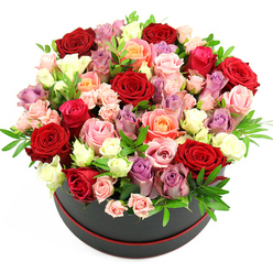 Dramatic round hatbox of mixed roses styled in classic black and red, evoking an air of luxury familiar to those who know Highgate's elegant homes. The box itself is a sleek, cylindrical black form with a narrow crimson band tracing its base, simple yet striking against the clean white background. Above it rises an opulent dome of roses so densely packed that blooms tumble past the edge, creating a sense of abundance and celebration. From the slightly lifted viewing angle, you can see how different rose varieties and stages of opening interact: large-headed crimson roses sit proudly among smaller blossoms, their velvety petals layered in tight spirals that speak of passion and depth. They are softened by an array of blush pink and lavender roses, their cool undertones adding a gentle, almost dreamy quality reminiscent of twilight over Waterlow Park. Warm peach and apricot roses punctuate the design with a subtle glow, while milky white flowers thread through the composition to keep it bright and balanced. Petite spray roses in fuchsia, pink, and lilac nestle between the larger heads, contributing intricate detail and a sense of movement, as though the bouquet were caught mid-bloom. Sparse yet intentional touches of fresh green foliage-perhaps eucalyptus or ruscus-break up the sea of petals, adding texture and garden freshness, like leaves brushing against you on a walk up Highgate Hill. The arrangement feels both modern and timeless, perfect for delivering heartfelt messages of love, congratulations, or gratitude to homes and venues throughout Highgate and the wider North London area.