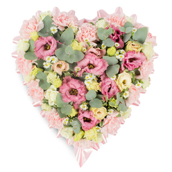 On a bright white backdrop, a heart-shaped sympathy arrangement appears almost luminous, its soft pastels standing out in gentle contrast. The heart itself is clearly defined and perfectly balanced, every line shaped by flowers that are carefully nestled together until they form a continuous, velvety surface. Around the perimeter, a ring of pale pink blooms-mostly frilled carnations and similar small flowers-creates a plush, scalloped border, like softened lace. Woven along this outer edge, a fine satin ribbon in a delicate blush tone glints subtly as it curves around the heart, culminating in two poised bows at the top and lower point, echoing the understated elegance of many Highgate memorial services. Inside this border, the arrangement is richly filled. Pink lisianthus flowers open wide, their petals layered and ruffled, drifting from gentle rose to slightly deeper fuchsia, and forming the main focal clusters. Nestled among them are small heads of creamy yellow and ivory spray roses or miniature eustoma, their rounded buds and half-open blooms adding warm, candle-like highlights. Here and there, dainty white daisy-like flowers with clear yellow centres brighten the design, giving a nod to the simple wildflowers that might be found on walks around Highgate Wood or the slopes of Parliament Hill. Between the blooms, rounded eucalyptus leaves in cool, silvery-green tones weave organically through the design, contrasting with the softness of the petals and adding a faint suggestion of fragrance. Deeper green foliage adds depth, suggesting overlapping layers of a well-tended garden. The gentle colour palette-pastel pinks, cream, light yellow, and muted green-creates a mood of serene remembrance, making this heart-shaped tribute perfectly suited to a funeral, crematorium, or graveside farewell in the Highgate area, where families wish to celebrate a life with quiet beauty and heartfelt care.