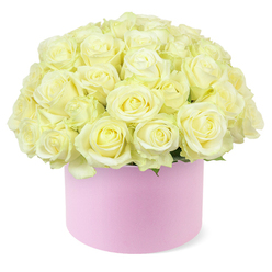 A luxurious arrangement of creamy white roses rises from a pale pink hat box, the blooms so densely gathered that they create a perfectly rounded dome, almost like a soft cushion of petals. Each rose is at a beautifully open stage, petals layered upon one another in delicate spirals, revealing hints of warm cream and pale buttery yellow glowing at their centres. The texture looks irresistibly soft, as though each petal would yield gently to the touch, while the occasional glimpse of rich green foliage at the base adds a subtle frame and a touch of natural contrast. The hat box is a muted blush pink with a refined, matte finish, evoking the type of chic packaging you might find in an artisan boutique near Highgate Village. Placed against a crisp white backdrop, the arrangement becomes the sole focus, with soft, even lighting highlighting the depth and volume of the roses without casting harsh shadows. The overall impression is one of calm romance and cultivated taste - an ideal floral gift for a Highgate anniversary, a special birthday breakfast in a flat off Archway Road, or a quiet evening celebration after a walk on Hampstead Heath. The combination of classic roses with contemporary hat box styling feels particularly suited to the area's mix of historic charm and modern design. This image captures that mood perfectly: a sophisticated yet tender rose box that would sit just as naturally on a polished dining table as on a bedside cabinet, filling the space with an unspoken message of love, care, and thoughtful attention.
