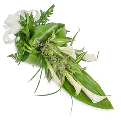 This elongated, hand-tied spray carries a restrained elegance I often prepare for ceremonies in and around Highgate Village and Hampstead Heath. A cluster of creamy white Calla Lilies commands the eye with their trumpet-shaped forms-some fully open, others keeping a tender, sculptural bud-each petal smooth and subtly reflective. These are interlaced with a generous array of deep emerald tropical leaves that have been carefully folded and curved to give structure and flow, while feathery fern fronds soften the silhouette and add an airy green filigree. Variegated leaves, striped in white and pale green, thread through the middle, catching light and offering visual rhythm, and sprays of small, pale green foliage act as gentle, frothy fillers that soften transitions between larger elements. Thin, arching grass blades introduce graceful motion, guiding the gaze from the bow in the upper left down to the tapered lower right. The bow itself is a tactile, off-white woven ribbon-linen or coarse silk-chosen for its understated texture and natural tone. Under soft morning light the arrangement reads serene and reverent, an ideal tribute for a service on Pond Square or a simple, refined bridal accompaniment for a garden wedding near Waterlow Park. Crafted with the quiet expertise expected of Flowers Highgate, this piece speaks of purity, calm, and considered workmanship, offering a subtle green scent and a visual promise of dignity and remembrance to anyone who sees or receives it.