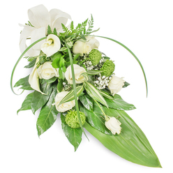An elegant, elongated floral sheaf composed for moments of remembrance, shown on a crisp white background with a gentle studio glow that reveals every soft texture. The composition centers on creamy white roses in varied stages of bloom - from tight, hopeful buds to fully opened blossoms whose layered petals catch the light - paired with the sculptural purity of white Calla lilies placed toward the upper left. Vivid lime-green button chrysanthemums punctuate the design with their compact, tactile heads, introducing a playful note of colour against the serene whites. Fine clusters of Gypsophila drift through the arrangement like delicate whispers, giving an airy, cloud-like quality that softens the stronger shapes. The greenery is carefully layered: deep glossy leaves form a solid base, variegated white-and-green foliage adds subtle patterning, and feathery fern fronds at the crown suggest a quiet woodland breeze. Two long, bright-green blades sweep across the front, creating graceful movement, while a large, smooth green leaf shapes the tapered tail of the spray. A soft cream bow at the top-left is tied in a simple, respectful loop. As a local Highgate florist I picture this delivered with care to Highgate Cemetery or a chapel near Waterlow Park; Flowers Highgate can prepare this for local funeral services or quiet home remembrance. The overall impression is tranquil, composed, and deeply respectful - a sympathetic tribute that balances traditional formality with modern, understated design.
