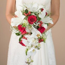 In the tranquil embrace of Highgate, this heartfelt scene features a bride gently supporting a dramatic cascading bouquet, her gown's fluid lines and a hint of lace blending intimately with the surrounding neutral light. The bouquet stands as an emblem of new beginnings, its centrepiece a constellation of luminous white lilies-each bloom open and expressive-framing elegant phalaenopsis orchids that flow downward in natural, waterfall curves. Amidst these, rich red roses invoke deep affection, their textured, velvet petals adding weight and visual drama. Playful clusters of tiny white filler flowers, reminiscent of baby's breath, and glossy red hypericum berries punctuate the greens, creating a sense of joyful vitality and festive contrast. Wispy fern fronds and robust green leaves, perhaps inspired by Highgate Wood's calming greenery, envelop the arrangement in a breath of freshness. The bride's embrace-arms bare and lightly tanned-reflects an authenticity cherished by local couples, while her bouquet's delicate fragrance drifts like a promise into the gentle sunlight. The soft, muted beige background ensures that all attention is drawn to the radiance and careful craftsmanship of the bouquet, an ideal centrepiece for weddings at Kenwood House or smaller gatherings in North Hill. With every element expertly arranged, this bouquet is a testament to Flowers Highgate's passion for delivering floral elegance to the heart of North London celebrations.