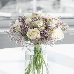 In this softly lit floral scene, a generous bouquet of creamy white roses and airy lavender statice takes prominence, forming a rounded, almost sculptural arrangement that feels both timeless and modern. The roses, around a dozen in number, are captured at that perfect moment when their petals are fully unfurling, revealing layered, spiralling centres that hint at warmth and tenderness. Their shade leans towards ivory, with subtle nuances picked up by the natural daylight, giving them a luminous, pearly quality. Threaded between the roses are delicate plumes of lilac statice, each stem branching into clusters of tiny papery blooms that introduce gentle movement and a light, feathery texture. The contrast between the plush, velvety rose petals and the fine, cloud-like statice makes the bouquet feel almost weightless, as if it were a little pocket of Highgate spring air brought indoors. All the stems are gathered into a tall, clear glass cylinder vase, the water line crisp and visible, and the fresh green stems fanning slightly at the base. The vase stands on a smooth, white surface that reflects the brightness of the flowers, while the background is softly blurred, suggesting an airy sitting room or studio near Highgate Wood, bathed in mid-morning light. The atmosphere is calm, reflective, and gently hopeful, perfectly suited to a quiet wedding breakfast, a condolence gesture, or an elegant centrepiece for a minimalist home. One can almost sense a faint, clean rose scent drifting through the space, anchoring memories and moments with a touch of quiet, enduring grace.