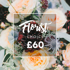 Captured in a warm, intimate close-up, this bouquet reads like a memory of late-afternoon light falling across a Highgate windowsill. The arrangement is anchored by a sumptuous, near-black burgundy dahlia whose velveteen petals create a dramatic focal point, surrounded by a chorus of garden roses in soft peach, creamy white and apricot tones whose ruffled layers unfurl with a vintage romance. Interlaced between these generous blooms are steely blue eryngium thistles, their spiky texture and cool hue offering a sculptural counterpoint, while clusters of pale green-to-white hypericum berries add small, luminous orbs of freshness. Wisps of eucalyptus and assorted greenery thread through the flowers, their scent faintly suggested by the visual - a cool, resinous whisper that would mingle with the floral sweetness. The lighting is gentle and directional, picking out the sheen on petals and leaves and giving the arrangement a tactile, almost touchable presence. A clean white square frame with softly rounded corners sits over the composition and contains elegant script proclaiming Florist Choice with the price clearly shown as £60 in bold type, a discreet label for a florist-curated bouquet. The photograph feels bespoke and comforting, the kind of bouquet a Highgate florist might prepare for a thoughtful birthday gift, an intimate wedding in a local chapel, or to send a note of sympathy - a floral selection that promises seasonal variety, expert placement and a quietly celebratory spirit reflective of Highgate and nearby Hampstead.