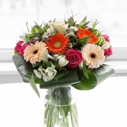 Illuminated by soft natural light reminiscent of a breezy Highgate morning, this elegant bouquet blends timeless romance with fresh, contemporary flair. At its centre, orange and peach gerberas capture the lively spirit of Highgate's bustling Village, their glowing petals opened wide and circling plush, earthy centres. Tightly closed magenta roses-symbols of enduring love-emerge with deep, velvety richness, bridging playful and classic in one harmonious arrangement. Interwoven white alstroemeria and petite spray roses bring an airy, delicate contrast, their crisp tones brightening the bouquet while evoking the gentle promise of spring mornings along Highgate Wood. Hints of soft pink petal and wispy white blooms add another dimension, revealing the depth of a thoughtfully layered design. The vibrant display is anchored by broad, glossy aspidistra leaves, folded creatively at the base-much like the refined arrangements found across Highgate's independent florists. Layers of slender greenery emerge among the blooms, providing organic movement and structural balance as the whole composition rises elegantly from a clear, tall vase. Visible through its glass sides, a collection of verdant stems mirrors nature's simplicity and the area's garden heritage. The bouquet is ideal for commemorating a milestone, uplifting a local home, or extending heartfelt thanks across Highgate and neighbouring Muswell Hill-delivered with signature freshness and finesse.