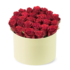 Across the Highgate studios, this luxurious arrangement is a study in refined romance. A circle of deep red roses-approximately two dozen or more-sits within a round, pale cream-colored cylindrical hat-box, the velvety petals kissing the light with a soft, satin sheen. Each bloom is tightly furled, suggesting they are in peak form, newly opened and ready to share their fragrance. The blooms are so artfully arranged that they fill the entire box, forming a dense, dome-like cap of colour that rises slightly above the rim. Subtle green foliage threads between the heads, a whisper of freshness that keeps the palette from feeling heavy. The container itself is a matte-finished box in a creamy ivory hue, its smooth surface and rounded silhouette evoking classic luxury. The overall effect is contemporary yet timeless, a gift that feels both personal and premium. The image is captured at a gentle, elevated three-quarter angle against a pristine white background, the focus unwaveringly on the roses and their chic packaging. In Highgate's leafy lanes, with views toward Hampstead and the Heath beyond, this bouquet makes a decisive statement of love and appreciation. It is equally at home on a celebratory occasion or as a thoughtful gesture that says I'm here for you. The arrangement is designed with durability in mind for delivery, and is suitable for same-day delivery to Highgate, Crouch End, and surrounding communities. It evokes the thrill of romance while offering the assurance of high-quality floristry-crafted by a local team to bring joy, beauty, and a touch of indulgence to the recipient.
