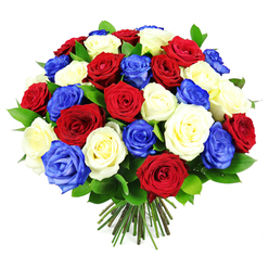 This image captures a meticulously crafted bouquet of roses, shaped into a generous, rounded cluster that fills nearly the entire frame. The arrangement features three commanding colours-rich red, creamy white, and bold royal blue-woven together with an artist's eye for balance and harmony. The roses are densely grouped, each bloom almost brushing the next, yet the composition never feels cluttered. Instead, it has a luxurious, cushion-like appearance, as if the flowers form a soft, fragrant dome. Crimson roses with velvety petals provide depth and warmth, while the white roses introduce a gentle, luminous contrast, and the blue roses add a striking, contemporary twist. Subtle layers of petals catch the light, creating gentle highlights and shadows that suggest softness and freshness. Dark green foliage is tucked in discreetly between the blossoms, its glossy texture emphasising the vibrancy of the colour palette. At the bottom, the stems are gathered neatly together, trimmed to the same length, a clear sign of expert hand-tying by a professional florist at Flowers Highgate, just a short walk from Waterlow Park. The neutral white background showcases the bouquet without distraction, making the colours appear almost jewel-like. The overall effect is elegant yet strong, evoking images of national celebrations on Highgate's leafy streets, memorial gatherings, or significant personal milestones where someone wishes to express gratitude, honour, and solidarity with a single, memorable floral tribute.