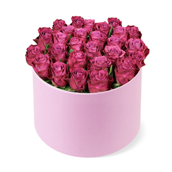 In this image, a luxurious hat box of roses sits on a pristine white surface, radiating the quiet confidence of a carefully curated gift designed by an experienced florist in Highgate. The container is a soft, light pink cylinder with a velvety matte finish, its smooth sides catching the light in a gentle, diffused way. Rising above the rim is a full dome of deep fuchsia and magenta roses, their heads packed so tightly together that the blooms form a continuous field of colour. Each rose is at a perfect early bloom stage: the centres remain attractively spiralled, while the outer petals unfold in layered waves, showcasing subtle tonal shifts from light pink in the middle to richer, berry-toned edges. The density of the arrangement creates a plush, cushion-like effect, giving the impression that the roses are almost spilling over the top of the box in a controlled, opulent way. Only the faintest touches of dark green foliage are visible, tucked low beneath the blossoms to add depth without marring the sculptural unity of the dome. The photograph is taken from slightly above eye level, making it easy to appreciate the rounded form, the texture of each petal, and the contrast between the pastel box and the vibrant flowers. Framed against a clean, white background, the colours appear especially vivid and contemporary. This arrangement feels perfectly suited for a romantic surprise delivered to a home near Highgate Woods, a milestone birthday celebration in a Heathside apartment, or a thoughtful thank-you gift for a host on North Road, where its rich fragrance and velvety petals would infuse the space with elegance and heartfelt emotion.
