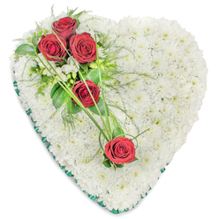 This image captures a classic heart-shaped floral tribute, perfect for a funeral or memorial service in and around Highgate. The heart is built upon a dense base of small, pure white chrysanthemums, placed so closely that no gaps are visible, creating the impression of a single, plush cushion of petals. Their soft, rounded heads and fresh white colour suggest peace, innocence, and the hope of rest. The upper left side of the heart is adorned with a striking diagonal spray of deep red roses, whose velvety petals are tightly layered and rich in tone. Three roses form the main focal grouping, their deep crimson hue standing out vividly against the white backdrop. Little clusters of fine white filler flowers, likely freesias, nestle between them, adding subtle highlights and a whisper of sweet fragrance. Surrounding this cluster, lush green leaves and feathery, fern-like foliage provide contrast and texture, much like the varied greenery surrounding Highgate Cemetery or glimpsed along Highgate High Street. From this central spray, long, elegant blades of bright green ornamental grass sweep across the chrysanthemums towards the lower right of the heart, visually linking to an additional single red rose placed there with intention. This gentle arc of foliage introduces movement and draws the viewer's gaze from one side of the tribute to the other, echoing the journey from grief to remembrance. A continuous band of dark green satin ribbon trims the outer edge, its smooth, lightly reflective surface giving the piece a polished finish. Crafted with the care of a local Highgate florist, this heart-shaped design expresses enduring love, respect, and sympathy in a quiet yet visually powerful way, suitable for church services, crematoria, or graveside tributes.