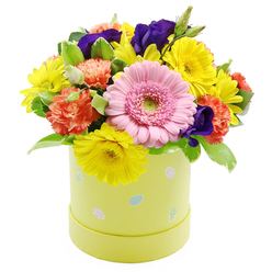 A joyful Easter hatbox flower arrangement sits against a pure white backdrop, glowing with the soft, fresh colours of spring in Highgate. The composition is tightly domed, with flowers gathered closely so that each bloom seems to support the next, rising from a cylindrical hatbox container in a gentle pastel lime-yellow. The hatbox is decorated with delicate Easter egg illustrations in pale blue, pink, and white, some featuring dainty dots or miniature stripes, which lend a playful, family-friendly character. At the foreground of the bouquet, a large light pink gerbera daisy commands attention, its tidy, layered petals circling a pale green eye like a perfectly drawn mandala, creating a natural focal point. Radiating out from this central flower are clusters of bright yellow chrysanthemums and daisy-like blooms, their slender petals and round faces conveying warmth and optimism, reminiscent of sunlight filtering through trees on Highgate Hill. Intermingled with these are coral-orange carnations, each head full of ruffled petals that add soft movement and texture, their warm hue gently anchoring the colour palette. Punctuating the design are deep violet-purple lisianthus blossoms, their velvety petals providing rich contrast and a slightly more formal note amidst the playful tones. Fresh greenery threads between the flowers, including smooth, mid-green leaves and variegated sprigs tipped with pale cream, enhancing both fullness and dimension. The overall effect is of a carefully crafted seasonal piece, ready to be placed at the centre of an Easter table, on a sunny windowsill overlooking the Heath, or delivered as a bright, encouraging gift to someone in Highgate, conveying joy, renewal, and thoughtful attention to detail.