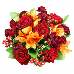 When I arranged this circular bouquet at Flowers Highgate, my aim was to let each stem speak while keeping the whole composition rich and readable from a top-down view. Set against a flawless white background, the design centres on several large, fully bloomed deep red roses whose velvety petals fold into tight, expressive hearts-these are the emotional anchors of the piece. Scattered through their folds are bright orange Asiatic lilies; some trumpet wide with visible stamens and subtle speckling, others hold as elegant buds that suggest unfolding life. Interlaced are dense clusters of dark burgundy spray roses, their compact rosettes contributing plush texture and a deeper tonal counterpoint to the main roses. Bright hypericum berries appear like tiny, glossy gems across the surface, adding tactile contrast and celebratory sparkle. Lush, broad ruscus or salal leaves peek between blooms, their glossy green calming the warm palette and framing each flower with natural ease. The lighting is soft and even, chosen to emphasise petal grain-the rose's velvet, the lily's satiny sweep, the berry's reflective skin-so the bouquet reads clearly in photos and close inspection alike. Scent here layers gently: the classic depth of rose warmed by the lilies' citrus-spicy note. This arrangement suits romantic gestures, anniversaries, or autumnal celebrations and travels well for local delivery across Highgate and nearby Hampstead Heath. It feels like a considered, heartfelt gift-a floral conversation crafted to resonate in village homes or to arrive like a warm hello after a stroll by Highgate Cemetery.