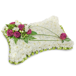Presented on a clean white field that throws soft shadow beneath its edges, this rectangular floral pillow is a composed expression of comfort and respect. The base is entirely made of hundreds of immaculate white chrysanthemum florets, forming a seamless, cloudlike surface that reads as peaceful and pure. A folded lime-green satin ribbon trims the whole perimeter in a gentle scallop, adding a discreet ribboned border that brightens the white without overpowering it. At the top-left, a vivid cluster of rich magenta roses - petals thick and velvety - is arranged with delicate white freesia and a few cream lisianthus, bringing quiet fragrance and a tender contrast in scale. Abundant emerald foliage, including soft fern leaves, frames the cluster and cascades slightly into the chrysanthemum field, grounding the composition with natural texture. From that cluster, three slender bear grass blades curve gracefully across the pillow, their dark green arcs creating a mindful line that draws attention to a single matching magenta rose nestled at the lower right, completing the visual balance. The light is soft and neutral, revealing the tactile differences between petal, leaf, and satin ribbon; one can almost sense the chalky chrysanthemum touch and the rose's velvet when looking. As Highgate florists know well, such a pillow conveys rest and remembrance with restraint and care-this version is designed with local funeral settings in mind and is available for thoughtful delivery around Highgate Village and nearby Hampstead by Flowers Highgate.