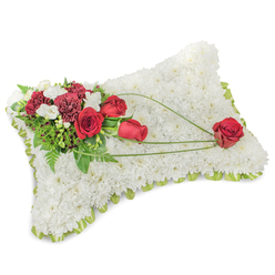 A carefully crafted sympathy cushion fashioned as a soft rectangular pillow, its entire surface densely covered in small, immaculate white chrysanthemums that create a plush, serene texture reminiscent of a folded blanket. The edge is softly defined by a hint of pale green ribbon or trimmed foliage, which slips between the blooms and provides a tidy, fresh outline against the snowy floral field. Light falls evenly across the arrangement, lifting the whites into a calm, luminous presence.

Anchoring the composition at the top left is an elegant cluster of deep red roses and rich burgundy carnations, their velvety petals offering a warm counterpoint to the cool white base. Interspersed among them are delicate sprays of white freesias or miniature spray chrysanthemums that add air and fine scale. A variety of greenery - from feathery ferns to broader leaves - supports the flowers and intensifies the reds. Three slim, arcing stems of bright green bear-grass or decorative foliage extend in a gentle diagonal from the main cluster toward the pillow's lower right, drawing the eye and suggesting a pathway of remembrance.

At the trail's terminus sits a single prominent red rose, placed with intention, symbolising enduring affection. The scent is muted, dignified; textures range from the cushion-like chrysanthemum bed to the velvety roses and ruffled carnations. Created with the care of a Highgate florist, this arrangement is suitable for memorial services at Highgate Cemetery or for home tributes around Highgate Village and Archway Road. Flowers Highgate supplies similar memorial pillows for local delivery, designed to convey comfort, respect and the quiet language of condolence.