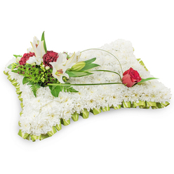 This rectangular funeral pillow is a classic expression of sympathy, handcrafted from a dense mattress of tiny white chrysanthemums whose tight petals create a smooth, cushion-like surface suggestive of rest and peace. A pleated, pale lime-green satin ribbon traces the edges, lending a subtle, refined border that catches soft light and complements the cool whites. Anchoring the design on the upper left is a natural cluster of blooms: two open white Oriental lilies, their yellow stamens visible, accompanied by a closed lily bud and clusters of deep burgundy spray carnations that punctuate the white with warm, poignant colour. Lush green foliage - from delicate ferns to broader glossy leaves - provides a layered backdrop, while a slender, arching strand of green bear grass or salal sweeps across the chrysanthemum field to end at a single deep red rosebud on the upper right, poised and gently closed. The textures - the cushiony chrysanthemums, the satiny ribbon, the crisp foliage and the velvety rose - are described here with the care of a local florist preparing tributes for services at Highgate Cemetery, St. Michael's, or private wakes in Highgate Village. Flowers Highgate can prepare and hand-deliver this sympathetic pillow for funerals or memorials around Swain's Lane, Hampstead Heath nearby, or Archway Road, offering a comforting, traditional tribute that reads of purity, respect, and enduring love.