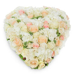 Photographed from a slightly elevated, overhead angle on a stark white backdrop, this heart-shaped composition reads as an intimate study of pale tones and plush textures. At its core are dozens of roses in varied stages - from tight, ivory buds to open, creamy blossoms and soft peach to whispering blush pink roses - each spiral of petals layered to create a subtle ombré across the heart. Interwoven among the roses are abundant clusters of snowy white hydrangea, their tight florets adding a cloud-like fullness that both softens and amplifies the rose forms. Narrow flashes of deep green, possibly variegated foliage, punctuate the blooms and lend a cool contrast that makes the pastel tones sing. The whole piece is meticulously shaped so that the heart's silhouette reads clearly from above, with a gentle shadow beneath that defines its sculptural volume. There is a tactile hush to the design - velvety rose petals, the papery crispness of outer petals, and the soft, cushiony feel of hydrangea heads - and a fresh floral scent that hints of morning dew. As a seasoned florist in Highgate, Flowers Highgate often crafts this style for weddings, anniversaries, and as a graceful memorial tribute; its elegant restraint and comforting palette offer quiet dignity and affectionate remembrance. The arrangement evokes the genteel atmosphere of Highgate Village and the nearby leafy paths of Hampstead Heath, where careful floral work mirrors the neighbourhood's calm and considered beauty.