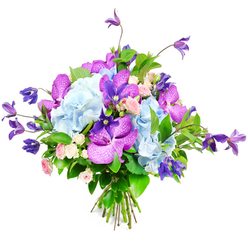 Set against a clean white backdrop, this meticulously arranged bouquet appears almost to float, its carefully curated colours echoing the soft blues and purples you might catch in the evening skies over Highgate. Dominating the centre, generous heads of light sky-blue hydrangea form a plush, rounded mass, each one built from countless small petals that overlap like layers of fine fabric. Threaded through these pastel clouds are dramatic orchids in fuchsia and deep violet-purple tones, likely Vanda or Phalaenopsis, whose broad, velvety petals are textured with intricate speckles and veins, lending a refined, exotic flair. From the top and sides, graceful stems of deep purple clematis reach outward and upward, their star-shaped or bell-like blooms introducing height, line, and a soft sense of movement, much like climbing plants cascading over railings near Highgate Cemetery. Between these bolder flowers, diminutive roses in blush pink and creamy white nestle in clusters, their compact, multi-layered petals hinting at traditional romance and the gentle fragrance often associated with English gardens. All of this colour and texture is anchored by lush green foliage-broad, shiny leaves and finer tendrils that create a rich backdrop, intensify the blue and purple palette, and lend the arrangement a fresh, garden-picked feel. The stems are gathered and tied neatly, evidence of skilled hands at work, perhaps at Flowers Highgate preparing a same-day delivery for a birthday, anniversary, or thoughtful get-well wish. The bouquet as a whole conveys quiet luxury and heartfelt care, making it perfectly suited to brightening a Highgate Village living room or adding elegance to a celebration near Parliament Hill.