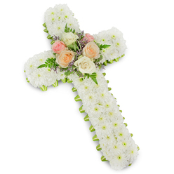 The photograph captures an elegant funeral cross arrangement, isolated against a pure white background that brings every petal and curve into sharp relief. The cross is constructed with generous depth, entirely covered with closely packed white button chrysanthemums. Each small flower touches the next, forming an unbroken field of white that looks soft and inviting to the touch, like a quilt of petals. The uniformity of these blossoms lends a solemn, serene presence, echoing the stillness one might feel walking through the shaded paths of Highgate Cemetery. Framing this tranquil expanse is a narrow lime-green ribbon, meticulously wrapped along the outer edge of the cross. It peeks out from beneath the petals, tracing a fine border around the arms and central stem, giving structure and a gentle hint of living green, reminiscent of new growth in Waterlow Park. At the junction where the cross's horizontal and vertical beams meet, a delicate central spray provides a point of emotional and visual focus. Here, fully opened roses in tones of soft blush pink, warm apricot, and creamy white gather together, their layered petals slightly curled and velvety. The roses are supported by lacy fern fronds and wisps of lavender or lilac filler flowers, which introduce a subtle veil of pastel colour and texture. This heart of roses seems to symbolise personal love, memory, and gratitude, nestled within the broader white field of faith and peace. The overall impression is of a carefully crafted sympathy tribute, suited to funeral services or chapel gatherings throughout Highgate, expressing respect, comfort, and a gentle promise of spiritual hope.