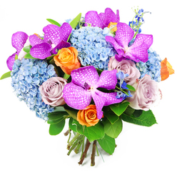 Against a clean, white studio background, this hand-tied bouquet looks poised and luminous, like a fresh delivery arriving at a Highgate doorstep. The dominant impression is one of abundant texture and layered colour, starting with the generous mounds of sky-blue hydrangeas that create a soft, domed foundation. Their many tiny florets cluster tightly together, giving the base a billowy, almost cloud-like quality that feels cool and calming. Rising from this blue softness are multiple Vanda orchids in saturated fuchsia and magenta tones, each broad petal patterned with delicate white speckles that form an intricate, lace-like network, adding drama and an unmistakably exotic touch. Interwoven among the orchids and hydrangeas are velvety roses in two key shades: bright orange blooms, still partially cupped, radiate confidence and warmth, while muted lavender and dusty mauve roses bring a gentle, reflective elegance, like the quiet streets around Highgate Village in the early evening. Fine stems of deep, inky-blue accent flowers-reminiscent of delphiniums-emerge between the larger blossoms, introducing extra height and rhythm. Surrounding it all is a collar of lush green foliage; broad, glossy leaves catch the light, while smaller greenery fills any gaps, giving the bouquet a full, rounded silhouette and a freshly gathered feel. The stems at the base are clearly visible, neatly aligned and bound in a hand-tied style that suggests expert care and attention. The overall mood of the arrangement is both energising and soothing, making it a versatile choice for congratulating someone on a new home in Highgate, celebrating a special birthday, or simply brightening a favourite corner of the house.