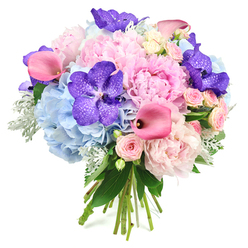 Photographed against a crisp white background, this round hand-tied bouquet looks as though it has just been composed by an experienced Highgate florist with a keen eye for colour and form. Dominating the centre are large, light pink peonies in full bloom, their many ruffled petals layered densely to create a soft, domed heart that feels almost cloud-like. Surrounding and supporting these are mounded clusters of powder blue hydrangeas, each rounded head made up of numerous tiny florets that blend into a cool, misty base, balancing the warmth of the pinks. Deep purple Vanda orchids are woven throughout, their broad petals rich and velvety, decorated with delicate speckles that add complexity and a hint of the exotic. Between these generous blooms, elegant fuchsia pink calla lilies arc gracefully, their trumpet-shaped flowers curving in smooth lines that lend a modern, architectural element to the otherwise pillowy textures. Tucked in among the larger flowers are small blush pink spray roses, blooming in tight, layered rosettes that bring a timeless, romantic detail to the composition. The perimeter of the bouquet is framed with a mix of glossy dark green leaves and soft, silvery dusty miller foliage, whose velvety texture and muted tone add depth and a gentle, cooling touch. At the bottom, you can see the natural stems gathered together and neatly tied, clearly marking this as a hand-crafted arrangement. The bouquet radiates a feeling of celebration and refinement, perfectly suited to same-day delivery around Highgate, whether it's to brighten a townhouse near Highgate Cemetery or to mark a significant occasion in a family home overlooking Hampstead Heath.