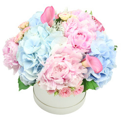 Like a memory of early morning sky, this pastel bouquet unfurls in a crisp white hatbox, its dome of flowers softening the room with colour and quiet grace. Large, plush peonies in pinks drift beside cloud-like clusters of light blue hydrangeas, their blooms catching the light and exuding a gentle, reassuring glow. Between them, pale pink spray roses glow softly, while tightly furled rosebuds add a subtle, tactile texture. Two calla lilies, tinted deeper rose, rise in elegant, trumpet shapes-one near the top-left and another peeking toward the bottom-right-creating a subtle diagonal lift. Foliage hints of dusty miller and hydrangea leaves provide a cool green frame that deepens the romance.

Displayed in a smooth, understated vessel that keeps the focus on the blooms, the arrangement whispers of celebrations both bright and intimate. It feels at home on a mantel for Mother's Day, a hospital window for a new arrival, or a birthday table that needs a touch of calm assurance. In London's Highgate neighbourhood-a stone's throw from Hampstead Heath and Parliament Hill-this bouquet would accompany a well-meaning note to a friend or family member, speaking softly of joy and hope.

From Flowers Highgate, crafted with local knowledge and care, the bouquet carries freshness you can trust and a design that endures across the day. Available for delivery across Highgate and surrounding areas, including Hampstead and nearby streets, it makes a thoughtful gift for birthdays, anniversaries, or a simple gesture of support. The scent, a gentle bloom of peony and rose that lingers with warmth, completes the experience.
