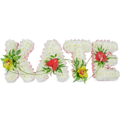 A personalised funeral flower arrangement in the photograph spells out KATE in large, upright capital letters, carefully crafted so each letter is immediately legible and visually balanced, much like the thoughtful displays you might encounter in a Highgate memorial chapel. The base of the design is formed from tightly clustered white chrysanthemums, their soft, rounded petals overlapping to create a thick, velvety layer of blooms. This uniform white backdrop gives the tribute a sense of purity and peace. Tracing the outside edge of every letter is a collar of pale pink satin ribbon, gently frilled and slightly reflective, which softens the outlines and introduces a subtle, tender blush of colour. Against this calm foundation, the florist has arranged striking accent flowers and foliage. On the K and T, yellow-green cymbidium orchids with distinctive reddish-brown centres sit proudly, accompanied by glossy dark green leaves and light, feathery fronds of fern that bring texture and a feeling of natural movement. The A and E are each adorned with a single deep red anthurium bloom, heart-shaped and waxy, resting among the chrysanthemums as powerful symbols of love and enduring connection. Thin green vines and tendrils trace gentle arcs over the letters, visually tying them together as though one continuous thought of remembrance. The entire tribute is photographed against a plain white background, with soft, even light that accentuates the colours and details. It feels calm, respectful, and deeply personal-a floral name arrangement that would sit beautifully beside a coffin or at the front of a service, honouring someone named Kate with grace and care.