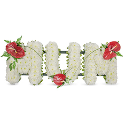This composition reads as a tender message of remembrance, letters formed from the soft whisper of white spray chrysanthemums that press closely together to spell MUM. Each tiny bloom has been chosen for fullness and purity, the surface appearing almost cloudlike under gentle morning light. The dense floral texture is supported by a muted dark green framework that shows at the edges - a subtle outline that keeps the freestanding letters neat while letting the white blooms take centre stage. To break the monochrome and introduce warmth, three vivid red anthuriums are placed as emotional anchors: one tucks into the upper left curve of the first M, another is settled at the base of the U, and the third adorns the upper right curve of the final M. Their glossy, tropical spathes and pale spadices catch the light differently to the chrysanthemums, offering a comforting contrast. Around each anthurium, delicate sprays of fern and broader dark leaves lend texture and depth, while thin arching grass blades gently connect the red focal points to each other across the white letters. The overall impression is quiet and consoling - a sympathy tribute that balances purity with heartfelt colour. Picture this piece conveyed with care around Highgate Village or placed at a service near Waterlow Park: it's an arrangement meant to honour memory, to comfort mourners, and to speak of enduring love in the face of loss.