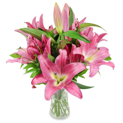 A striking cluster of vibrant pink oriental lilies fills a clear, tapered glass vase, set against a flawless white backdrop that highlights the flowers' sculptural presence. Each fully opened bloom reveals broad, star-shaped petals in shades ranging from deep fuchsia to softer rose, their edges sometimes edged with a paler margin that leads the eye inward to a creamy, chartreuse-tinged throat. Dark burgundy anthers and pollen-laden stamens stand out sharply against the pale centres, offering a tactile contrast to the petals' smooth, almost velvety sheen. Scattered among the open flowers are several elongated buds-some slender and pale, others a saturated magenta with green tips-suggesting a bouquet that will continue to evolve over days. Rich, glossy green foliage with long, lance-like leaves provides a cool textural counterpoint and frames the massed blossoms, while the clear vase displays the straight, trimmed stems and clean water beneath, signalling careful conditioning. The cool studio lighting gives the arrangement crisp clarity and a soft, natural glow, as if placed on a windowsill near Highgate's tree-lined streets or beside a vase on a Hampstead Heath-view table. The overall effect is confident and celebratory yet refined-perfect for birthday celebrations, a fresh sympathy offering, or brightening a London flat with floral colour and fragrance. The description reads as the work of a seasoned florist who values both botanical accuracy and the small rituals of presenting flowers to someone you care for.