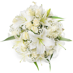 A pristine, circular bouquet captured top-down on a white background, composed of luminous white oriental lilies and soft cream roses, the arrangement exuding classic refinement. The lilies open broadly, their trumpet-shaped petals curving outward to reveal pale green stamens and faintly darker throats, while the roses sit in varied stages of bloom - from firm, velvety buds to gently unfurling blossoms whose layered petals create a plush, tactile texture. Wisps of white Baby's Breath (Gypsophila) are woven throughout, offering a fine, lace-like filling that softens the heavier forms and lends a delicate, airy rhythm. Around the edges, hints of vivid green foliage peek through, their glossy surfaces framing the bouquet and accentuating the monochrome palette.

This bouquet has a serene, ceremonial presence suitable for weddings, christenings, or tasteful sympathy tributes, and it reads as the work of a florist rooted in the local neighbourhood. At Flowers Highgate we often craft similar round posies for couples marrying in Highgate's historic churches or for families gathering near Waterlow Park and Highgate Cemetery; the composition is intended to photograph beautifully and to feel reassuring in the hand. The scent is imagined as a soft blend of lilies' sweet perfume and the roses' gentle, classic aroma, a subtle reminder of fresh deliveries made across Highgate and into surrounding streets on days of significance.