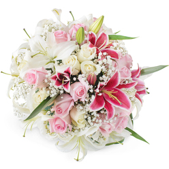 A lavish, hand-tied bouquet overflows with lilies, roses, and baby's breath, shown against a pure white background so that each flower stands out as clearly as if you were viewing it in a Highgate florist's window. Elegant white lilies sit prominently at the centre, their long, trumpet-shaped petals gently flaring outward, some blooms fully open, others still partially closed as fresh green buds that promise days of unfolding beauty. Cradled around them are roses in romantic blush pink and warm cream, petals arranged in tight, spiralling buds and fully opened rosettes, each bloom exuding softness and a quiet, affectionate charm. Cutting through these gentle tones, vivid fuchsia Oriental lilies, similar to beloved Stargazer varieties, introduce a dramatic note; their deep magenta petals carry darker speckles and pale edges, with bright stamens adding a golden accent at the heart of each flower. Fine, cloud-like sprays of white baby's breath weave delicately between the larger blossoms, forming a soft halo that lightens the dense, spherical shape and gives the entire composition a dreamy, ethereal feel. Subtle hints of slender green foliage and stems peek through at intervals, reinforcing structure and depth while maintaining the focus on the flowers. The lighting is clean and even, revealing the satiny finish of the lilies and the velvety texture of each rose petal, making the bouquet appear freshly gathered and beautifully fragrant. This design feels perfect for a romantic gesture delivered to a home near Highgate Wood, a refined wedding bouquet, or a celebratory arrangement for a milestone birthday in the neighbourhood, radiating love, joy, and timeless elegance.
