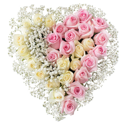 This image presents an exquisite heart-shaped arrangement created as a funeral or memorial tribute, photographed against a pure white background that highlights every detail with clarity. The heart itself is full and symmetrical, divided cleanly through the centre into two harmonious sides made of roses. On the left, the composition is dominated by creamy white and pale yellow blooms, each rose at its ideal stage of opening, so that their velvety petals cradle a soft, glowing centre. They are packed tightly, forming a textured surface that looks almost like fabric when viewed from a distance. On the right, an identical structure is formed from medium pink roses, their colour reminiscent of gentle evening light over Highgate's tree-lined streets or Waterlow Park. The pink petals curl and layer upon one another, creating nuance and depth, while still maintaining an overall sense of calm. Interspersed delicately between the roses and clearly defining the heart's outline is a generous sprinkling of white baby's breath, or gypsophila. These tiny flowers add an ethereal, cloud-like quality, softening the contrast between the two colours and giving the whole piece a lighter, more tender feel. There is no greenery visible, nor any additional decoration-just roses and gypsophila, kept deliberately simple to let the symbolism shine through. The design would feel at home in a Highgate funeral service, perhaps placed by the casket or on a stand near the lectern, a floral heart that quietly conveys enduring love, gratitude, and a gentle goodbye.