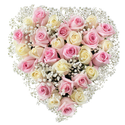 Lovingly created by a Highgate florist renowned for attention to detail, this heart-shaped bouquet sings with nuanced beauty. Over thirty roses, their petals ranging from soft, romantic pink to sophisticated creamy white-some bearing a gentle yellow blush-fill the core with plush, harmonious texture. Dancing amid the roses, wisps of delicate baby's breath add a feathery brightness, fluttering along the contours and invoking the serene ambiance of Hampstead Heath at dawn. Each bloom is fresh, dewy, and expressive, combining to create a sculptural heart that conveys both vulnerability and strength. Against a clean yet radiant white background, the arrangement glows with intended clarity, drawing out the unique character of each petal and sprig. This design feels deeply personal-perfect for honouring a cherished loved one in the Highgate community, whether at a local chapel or a tranquil garden gathering. The bouquet's gentle colour story and soft, comforting form evoke peace, remembrance, and enduring love amid life's transitions.