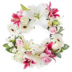 This photograph presents a beautifully composed circular funeral wreath, laid against a clean white background so that every petal, leaf, and subtle colour shift can be clearly seen. The wreath itself is a full, unbroken ring of blooms in soothing shades of white, blush pink, and deep magenta, designed to convey comfort and respect. Large white Oriental lilies anchor the design, their broad petals gently curling back as if opening to the light over Highgate Hill at daybreak. Their centres-fresh green pistils surrounded by golden stamens-add small touches of warmth and vitality. Nestled between them are bold fuchsia and deep pink lilies, their starry shapes and delicate speckles giving the arrangement depth and emotional intensity, like cherished memories shining through sorrow. White gerbera daisies, each with a dark central eye, create rhythmic points of contrast around the ring, their precise, layered petals adding a contemporary edge. Intertwined with these are soft pink roses and creamy white roses, at different stages of opening, from tight buds to full blooms, suggesting the unfolding chapters of a well-lived life. Smaller white filler flowers, probably miniature carnations or spray roses, are tucked into the spaces between larger stems, creating a dense, plush texture and a sense of careful craftsmanship. Lush green foliage frames and supports the circle, with overlapping leaves that enhance the wreath's depth and emphasise its symbolic, continuous shape. The overall impression is one of quiet dignity and heartfelt remembrance, suitable for services at local Highgate chapels or private gatherings at home. It offers a beautifully balanced floral tribute, expressing sympathy and honouring the memory of a loved one with grace.