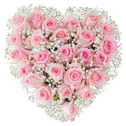 Imagine a perfect heart of flowers composed of two dozen or more soft pink roses, each bloom arranged with intent so the overall surface reads as a single, velvety canvas of pastel pinks. The petals show a gentle gradation-from barely-there blush at the outer rims to warmer rose tones toward the spiralled centres-creating subtle depth and movement across the form. Between the roses, delicate sprays of white gypsophila float like whispered breath; their tiny star-like buds catch the studio light and add a filigree texture that softens the edges of the heart while making every rose appear fresher and more luminous. The arrangement fills the frame against a pure white background, placing all attention on the flowers' sculptural unity and the contrast between the pinks and crystalline white.

As a florist who knows Highgate's quieter streets and leafy corners, I picture this composition arriving at a home near Highgate Village or resting on a mantle after a peaceful morning by the pond. The scent is imagined as soft and honeyed rather than overpowering, suited to weddings, tender anniversaries, or a thoughtful condolence where grace matters more than volume. The precise placement of each bloom demonstrates careful craft and emotional intelligence: it reads as a crafted emblem of love and solace, made to be seen up close and held in memory. Flowers Highgate often composes pieces with this same quiet, local sensibility.