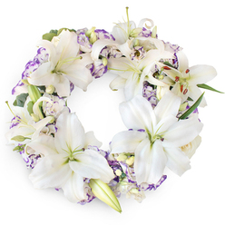 A beautifully detailed sympathy wreath forms a complete circle of white and purple blooms, photographed against a bright, uncluttered white background that emphasises its soft colours and tranquil form. Dominating the arrangement are large Oriental lilies, pure white and slightly glossy, their broad petals curving outward in graceful arcs. In their centres, pale green pistils and elongated stamens tipped with rust-brown pollen add fine, intricate detail. Some lilies are fully open, while others are in varying stages of bloom, giving the wreath a sense of time unfolding, much like a quiet walk through Highgate Cemetery where memories seem to linger in the air. Nestled between these showy flowers are smaller Lisianthus blossoms, whose ruffled layers of petals are mostly white but edged in shades of lavender and light purple, adding gentle colour that never feels overpowering. The Lisianthus soften the lilies' bold lines, creating a feeling of calm movement across the ring. Deep green foliage, including slim leaves and touches of bluish, eucalyptus-like sprigs, peeks out between stems, providing a cool, natural foundation. A few tightly furled lily buds and tiny creamy rosebuds hide among the larger blooms, little whispers of stories untold. The wreath itself is full, with no visible gaps, yet the design remains airy and balanced, suggesting a life celebrated with grace. The white background offers a sense of stillness, allowing the mind to rest on the details-the velvety texture of petals, the interplay of white and purple, the quiet dignity of the circular shape. It is the kind of thoughtful floral tribute one might choose for a funeral, memorial service, or wake in the Highgate area, where beauty and reflection are closely intertwined.