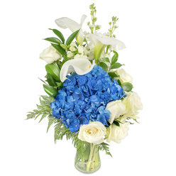 This refined floral composition, arranged in a transparent glass vase against a clean white backdrop, brings together cool and classic elements to striking effect. The centerpiece is a voluminous cluster of vibrant blue hydrangeas, their compact, papery florets forming a rounded, tactile focal point that feels both bold and soothing. Nestled below and around the hydrangea cluster are several creamy white roses, their layered petals soft to the eye and lending a gentle, timeless elegance. Stretching upward with sculptural poise, white calla lilies add an architectural grace: their smooth, trumpet-like forms catch the light and introduce a serene vertical line. Between these principal blooms, tall, delicate white snapdragons or similar spiky fillers provide subtle movement and a lyrical lift. A variety of greens-broad glossy leaves and delicate, lacy fern fronds-weave through the bouquet, creating depth and a garden-fresh texture while cascading slightly over the vase rim. The clean water and visible stems emphasize freshness and the skillful, symmetrical wiring of stems inside the vase. Imagined in soft morning light, this arrangement radiates calm and quiet dignity, making it suitable for occasions ranging from an anniversary in a Highgate home to a contemplative sympathy gesture near Pond Square or the Heath. Local florists in Highgate often choose this palette when a composition must feel both modern and respectful, offering a bouquet that comforts as much as it delights the eye.