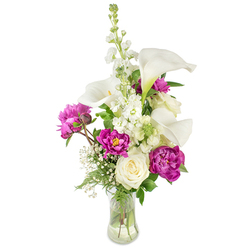 A refined floral composition photographed against a crisp white backdrop, presented in a clear, water-filled glass vase that reveals the stems and the honest mechanics of a well-made bouquet. White calla lilies arch gracefully from the centre, their satin-smooth trumpets and soft yellow cores lending modern poise, while a tall column of white stock rises behind them, its tiny clustered blossoms adding a subtle, textured verticality. Deep magenta peonies anchor the visual weight: two large open flowers with layers of velvet petals that catch the light, and a smaller bud that promises another dramatic unfurling. Close to the vase's mouth a creamy white rose rests like a quiet punctuation mark, its concentric petals suggesting sincerity and calm. Wisps of baby's breath are artfully woven through the arrangement, creating a light, cloud-like counterpoint to the denser florals, and varied greenery - from delicate fern-like fronds to broader leaves - gives depth, movement, and a freshly cut garden scent. As an arrangement assembled by Flowers Highgate for local clients, it feels at home near Highgate Village and Waterlow Park, suited to both weddings and intimate celebrations, and crafted with the kind of measured restraint and generous bloom that our neighbours on Swains Lane often ask for. The overall effect is uplifting and composed: a bouquet that looks serene from afar and richly detailed up close.
