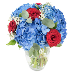 This composition pairs expansive sky-blue hydrangeas with a trio of deep red roses to create a striking balance of cool calm and warm intensity. The hydrangeas form a generous, cloud-like canopy of tiny overlapping petals, their saturated azure tone feeling fresh and luminous under bright studio lighting. Nestled among that blue are three crimson roses, their velvety petals curled inward in classical spirals that introduce a luxurious, romantic punctuation to the arrangement. Scattered throughout are miniature clusters of white baby's breath, their delicate points lifting the visual weight and adding a whisper of softness. Sage-toned eucalyptus leaves-softly rounded and slightly silvered-thread through the bouquet, providing a quiet, aromatic counterpoint and grounding the blooms with natural shape and depth. The clear glass vase, rounded at the base and narrowing gently toward the mouth, exposes the upright stems and the clean water, reinforcing the sense of freshness and care in the design.I picture this bouquet brightening a mantel in Highgate Village or resting on a café table near Waterlow Park; it carries an approachable elegance that suits both informal gatherings and small celebrations. The palette of blue, red and white feels timely for commemorations or for sending a message of affection, while the eucalyptus hints at a soft herbal scent that complements the floral notes. As a local florist describing the piece, I'd note how the arrangement's balanced textures and measured contrasts make it a confident, contemporary choice that brings a crisp, joyful presence to any nearby Hampstead or Highgate home.