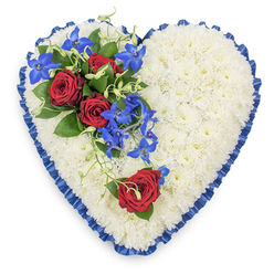This image captures a large, heart-shaped sympathy arrangement from directly above, set against a plain white background that highlights the details of the floristry. The heart is densely packed with pristine white chrysanthemums, each small bloom placed closely beside the next to form a smooth, cushioned surface that looks soft and comforting, like a floral blanket of peace. Around the edges, a royal blue satin ribbon is expertly pleated, the ruffled border hugging the contours of the heart and adding both definition and richness. The satin catches the light with a subtle sheen, lending the piece a ceremonial feel, perfectly suited to memorials and funerals in the Highgate area. On the upper left side of the heart, a vivid cluster of flowers introduces warmth and intensity: three deep red roses, in full bloom, are surrounded by glossy dark green leaves, the velvety petals suggesting deep love, gratitude, and farewell. Flowing through and gently cascading from this cluster are electric blue dendrobium orchids, their star-like petals glowing against the white chrysanthemums, while delicate, curling green tendrils weave through the spray, adding gentle movement and a natural, garden-like touch. On the lower right curve of the heart, a solitary red rose lies upon the white blooms, mirroring the upper cluster in a quieter, more intimate way and bringing visual balance to the design. The tribute feels calm and dignified, like something you might see resting beside a coffin or at a graveside in Highgate Cemetery, where the contrast of white, red, and blue speaks eloquently of purity, profound emotion, and serene remembrance.