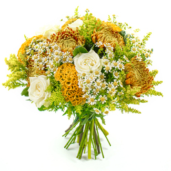 A lush, carefully hand-tied bouquet is shown standing upright against a seamless white background, allowing its colours and shapes to appear almost luminous. Central to the arrangement are several large chrysanthemums, their densely packed, spiky petals opening out in tones of golden yellow, deep orange, and burnished brown, creating a rich, autumnal core. Around them, distinctive yellow-orange celosia winds through the bouquet, the cockscomb blooms forming velvety, undulating ridges that look almost coral-like, adding a unique sculptural interest. Creamy white roses are set thoughtfully among these stronger tones, their smooth, spiralled petals just beginning to unfurl, softening the design with a hint of classic romance. Delicate clusters of small white daisy-like matricaria, each with a sunny yellow centre, pop up between the larger flowers, giving an airy, meadow-like rhythm that lightens the overall mood. Feathery sprigs of lime-green solidago and mixed fresh foliage frame the bouquet, their varied leaves and textures adding volume and a bright, natural backdrop that makes the warm blooms stand out. The stems at the base are neatly gathered and bound with green florist's tape, clearly showing the professional, hand-crafted finish one might expect from an experienced Highgate florist. Even, bright lighting highlights every petal edge and leaf vein, as if the bouquet were ready to be placed on a windowsill overlooking Highgate Wood or carried as a thoughtful gift along Archway Road. The arrangement feels ideal for seasonal celebrations, from cosy dinner parties to heartfelt thank-you gestures, bringing the soft glow of late summer and early autumn into any Highgate home.