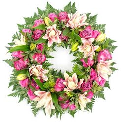 This elegant circular wreath, designed as a tribute for funerals or memorials, is displayed against a clean white background, allowing its rich colours and textures to take centre stage. The ring is densely packed with fresh blooms, giving it a plush, almost cushion-like appearance, with no visible gaps or exposed stems. The dominant flowers are roses in striking shades of magenta, fuchsia, and soft rose-pink, each bloom revealing a different stage of opening. Some are small and tight, holding their promise close, while others have unfurled into wide, many-layered rosettes, their velvety petals gently overlapping. Threaded among these roses are double lilies in creamy white and delicate pastel pink, with touches of peach warmth, their broader petals adding a sense of openness and calm. Several lily buds, in vibrant lime-green, sit upright between the blossoms, their pointed shapes adding subtle movement within the circle. Around the flowers runs a generous collar of greenery: fine fern fronds lend a feathery softness, and deep green, glossy leaves create contrast, enhancing the warmth of the pink blooms. The overall effect is one of quiet luxury and heartfelt care. This wreath feels at home in Highgate, perhaps resting against old stone in Highgate Cemetery or placed in a chapel near Waterlow Park, bringing soft colour and tender symbolism to a reflective space. The circular form speaks of eternity and unbroken connection, while the harmonious blend of pink, cream, and green conveys affection, gratitude, and gentle remembrance.