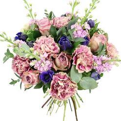 Seen against a bright white background, this bouquet feels like a carefully balanced still life, composed with an artist's eye and a florist's hand. Central to the design are garden roses in soft blush, dusty rose, and antique mauve, their petals layered in tight spirals that gently unfurl toward the edges, giving the arrangement its romantic heart. Nestled closely around them are frilly carnations whose petals shift from creamy beige and pale pink at the centre to richer rose and fuchsia along the ruffled edges, lending a sense of softness and movement. In contrast, deep blue and indigo flowers appear in smaller clusters and tight, tulip-like buds, while a single royal blue anemone with a dark, almost black centre adds drama and focus near the lower edge of the bouquet. Slender stems of lilac and pale lavender stock rise through the composition, their many tiny blooms introducing a mist of gentle colour and a suggestion of sweet, powdery scent. The flowers are supported by a frame of greenery: glossy dark leaves and distinctive, silvery-green eucalyptus with round leaves that catch the light and provide cool visual relief. The stems at the base are neatly tied, revealing the bouquet as freshly hand-crafted in Highgate, ready to be delivered to a flat near Archway Road or a house overlooking Highgate Wood. The overall impression is one of quiet luxury and tenderness, ideal for marking a special birthday, offering congratulations, or bringing a little calm romance into a busy North London home.