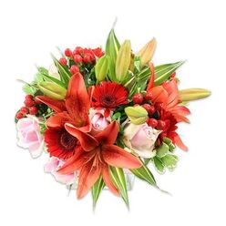 An artist's medley of fiery oranges, ruby reds, and gentle blush fills this bouquet, presented against a pure white background so every petal and leaf is sharply revealed-an arrangement you might spot being carried past Highgate Station or displayed in a window on South Grove. Dominating the scene are several expansive orange-red Asiatic lilies, some fully unfurled with freckled throats and visible stamens, others kept coy in tight buds that promise staged bloom. Rich crimson Gerbera daisies push outward with bold, radiating petals and dark centres that anchor the palette, while tender pale pink roses provide a quieter, romantic rhythm throughout. Scattered like tiny garnets are clusters of glossy red hypericum berries, whose roundness catches the light and adds a festive, tactile note against the softer flowers. The greenery is abundant and varied-broad, deep-green leaves for weight, narrow lily foliage for line, and a few variegated leaves that bring subtle brightness-creating a plush, rounded profile that speaks to careful craftsmanship. Close your eyes and you can imagine the soft, layered scents: the sweet warmth of roses, a bright citrus-spice from the lilies, and the fresh, green underpinning of cut foliage. Crafted with the sensibility of a local florist, this composition from Flowers Highgate is ideal for marking joyful milestones in the neighbourhood, brightening a Hampstead Heath picnic, or offering as a considered, tactile gift to someone special.