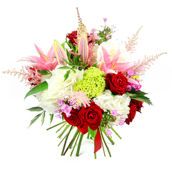 This image features a sumptuous, hand-tied bouquet displayed against a pure white backdrop, allowing every bloom and texture to be clearly appreciated, much like studying a floral still life in a Highgate gallery. Deep crimson roses form the emotional centre of the design, their velvety petals spiralling inward in tightly packed layers that speak of devotion and timeless romance. Among them rise graceful pink lilies, some fully open with broad, star-shaped petals that curl slightly at the tips, others still in elongated buds dusted with a faint green hue, promising gentle fragrance over the coming days. Encircling these statement flowers are generous tufts of soft, ruffled white blossoms-akin to full carnations or garden-style roses-creating a plush, cloud-like bed that softens the stronger colours and adds luxurious volume. Near the heart of the bouquet, a spherical cluster of lime green dianthus or carnation draws the eye, its fine, tufted texture and bold colour injecting contemporary freshness, reminiscent of young foliage in Highgate Wood after rain. Light, feathery sprays of pale pink astilbe extend above the main flowers, introducing airiness and vertical movement that keep the bouquet from feeling dense or static. Tiny fuchsia and magenta-toned filler flowers peep out here and there, offering bright sparks of colour that reward a lingering gaze. Dark green foliage, smooth and glossy, is woven throughout, framing the blooms and enhancing their intensity. At the base, the natural stems are gathered and tied with a slender deep red satin ribbon, making clear that this is a carefully crafted, hand-tied piece rather than a vase arrangement. Perfect for same-day delivery around Highgate and neighbouring streets, this bouquet feels fitting for anniversaries, heartfelt thank-you gestures, or as a striking centrepiece for a family gathering at home.