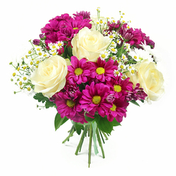 Set against a pure white background, this bouquet appears fresh and vivid, as though just prepared by Flowers Highgate for a same-day delivery along Archway Road or near Highgate Village. At its heart stand several large roses, fully open yet still crisp at the edges, their petals in a soothing creamy white that subtly warms into a pale buttery yellow closer to the centre. These roses create soft, spiralling focal points, giving the arrangement an elegant structure. Encircling them are abundant chrysanthemum blooms in a striking fuchsia-magenta hue, their many slender petals radiating outwards from bright yellow-green centres that look almost luminous. A few smaller, darker chrysanthemum buds in purple-pink shades peek between the larger flowers, adding contrast and an impression of depth, like layers of colour in a painter's palette. Threaded delicately through this vivid interplay are fine stems of tiny white daisies, reminiscent of chamomile or feverfew, each with neat white petals and a small, golden-yellow centre. These petite flowers break up the intensity of the magenta and cream, introducing a light, garden-fresh feeling that recalls wildflower patches on the walks towards Waterlow Park or the Heath. A collar of rich green foliage wraps around the blooms, the leaves providing a textural counterpoint and a natural frame for the brighter colours. The stems are neatly gathered and cut, held firmly at the base with a green and white gingham-style ribbon, which adds a touch of rustic charm and suggests the piece has been thoughtfully hand-tied rather than mass-produced. Bathed in even, bright lighting, every petal, leaf, and ribbon fibre is clearly defined, giving the bouquet a crisp, celebratory presence, well suited to marking birthdays, congratulations, or gentle get-well wishes in and around Highgate.
