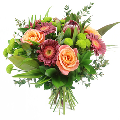 Captured against a clean white backdrop, this hand-tied bouquet looks like it has just been set down on a bright florist's table in Highgate, every stem carefully placed to create a sense of movement and warmth. The eye is first drawn to the plush peach and salmon-pink roses, their petals layered in soft spirals that shift subtly from pale, almost creamy apricot to richer coral and warm blush towards the centre. Nestled alongside, velvety gerbera daisies in deep magenta and burgundy fan out their slender petals around lighter central disks, giving the bouquet an uplifting, modern energy that would sit beautifully on a dining table in a Highgate Village townhouse. Rising slightly above the other flowers, an impressive King Protea brings sculptural drama, its artichoke-like form blending maroon, reddish-brown, and gentle blush-pink tips, reminiscent of something you might see in a curated display near Highgate Cemetery's historic avenues. Scattered throughout are clusters of lime-green Santini chrysanthemums, small and spherical, their zesty tones and textured surfaces adding playful sparks of colour between the richer shades. A generous collar of foliage frames the arrangement: broad, glossy leaves provide weight and depth; long, linear blades draw the eye upwards; and soft sprays of round, silvery-green eucalyptus leaves lend a cool, aromatic note. The stems at the base are neatly aligned and tied, clearly showing this is a professional, hand-tied bouquet ready for gifting. Radiating a mood of joyful sophistication, this arrangement is perfect for birthdays, anniversaries, or thoughtful "just because" deliveries across Highgate, Crouch End, and the surrounding North London streets.
