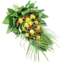 A refined yellow rose and berry casket spray lies diagonally across a pure white backdrop, allowing its elegant shape and colour harmony to be fully appreciated. The densest section of the arrangement is at the upper left, where around fifteen to twenty yellow roses cluster together, their tones ranging from gentle lemon to richer golden hues. A few of the roses are still budded, petals tightly cupped, while others are fully open, with layered petals that form soft, rounded rosettes, evoking both tenderness and quiet strength. Between the blooms, bright red Hypericum berries appear in small clusters, their rounded, polished surfaces catching the light and giving a vivid contrast that punctuates the yellow. Encasing these central elements is a generous selection of foliage: broad, dark green leaves have been folded, wrapped, and overlapped to create a structured backdrop at the top left, giving the spray a grounded, architectural feel. Flowing out towards the lower right, long, slender palm fronds and similar narrow leaves extend like gentle brushstrokes, their pointed tips creating a graceful, tapering line reminiscent of the gentle slopes of Highgate Hill. The stems of the flowers and foliage are securely bound and tucked away, ensuring the focus remains on the blooms themselves. Even, neutral lighting showcases the interplay of textures-from the velvety rose petals to the smooth berries and satiny greenery-while the white background keeps the design visually uncluttered. This arrangement, crafted with the calm sensitivity one expects from a trusted Highgate florist, expresses sympathy, remembrance, and quiet consolation, suitable for farewell services and tributes across Highgate Village, Archway, and nearby North London areas.