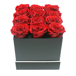 This carefully styled photograph showcases an opulent yet minimalist rose arrangement that would feel completely at home in a sophisticated Highgate living room. The focal point is a square, matte black gift box, its surfaces smooth and quietly elegant, with a slim white band tracing a precise line around the lower portion like a subtle piece of jewellery. Emerging from the open top are twelve red roses, arranged in three immaculate rows of four. Each bloom is fully open and evenly sized, the petals layered in tight, velvety spirals that create a sense of depth and movement within the uniform formation. The colour of the roses is a rich, ruby red that deepens towards the centre, with gentle tonal shifts hinting at their velvety texture. The blooms sit snugly together, forming a continuous, plush field of crimson just above the rim of the box. The composition is set against a seamless white backdrop, free from any distraction, so the eye is drawn entirely to the interplay of shapes and colours: the bold square of the dark box, the soft curves of the rose heads, and the thin white line that unites them. Soft, diffused lighting washes over the arrangement, enhancing the plushness of the petals and lending the box a sculptural clarity without strong shadows. The visual impression is one of contemporary romance and quiet grandeur-perfect for a special birthday delivered to a period home near Highgate Wood, a heartfelt apology sent to a flat off Archway Road, or a romantic gesture left waiting on a dining table overlooking the city skyline. The image suggests a long-lasting, possibly preserved design chosen for its enduring beauty and emotional resonance.