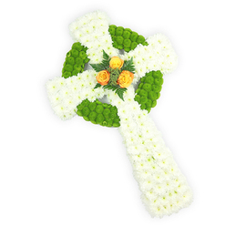 Seen from slightly above on a clean white surface, this fresh-flower Celtic cross reads as both contemporary restraint and timeless tribute, a composition I would choose for a quiet funeral service near Highgate Cemetery. The fundamental structure is built from velvety clusters of pure white spray chrysanthemums, densely packed to form the wide arms and elongated lower shaft so that the surface appears plush and almost cloud-like under soft studio lighting. Interwoven within that white field are bright, apple-green button chrysanthemums arranged with geometric care: they outline the circular ring at the cross's centre and occupy alternating segments of the arms, their compact, buttoned heads giving tactile contrast and a lively punctuation to the serene white. Anchoring the design at the intersection is a small, deliberate cluster of three fully opened orange roses whose golden-orange petals introduce warmth and human tenderness - a visual hearth against the cooler tones. Dark green fern sprigs cradle those roses, adding depth and a subtle, leafy scent when experienced in person. The colours together - white, fresh green, and orange - quietly evoke Irish identity and can feel especially appropriate for memorials for someone with Celtic roots or for a Saint Patrick's Day remembrance at a chapel on Archway Road. The photographer's slight overhead angle emphasises the three-dimensionality of the cross and the meticulous hand-placing of each bloom. As a florist practicing in Highgate, I sense the arrangement's duality: it mourns and comforts, its textures invite touch while its design holds a measured dignity suited to chapel, crematorium, or graveside remembrance.