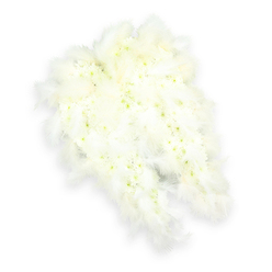 In this image, a beautifully detailed angel-wing arrangement is shown against a clean, white studio background, the pure palette allowing every petal and feather to stand out. The wings curve elegantly from top to bottom, shaped with the precision of an experienced funeral florist. Each wing is densely filled with small white blooms, likely miniature carnations and chrysanthemums, arranged so closely that they create a smooth, cushion-like surface. The repeated round forms of the blossoms give a rhythmic, almost meditative texture, while subtle flashes of pale green and soft yellow at their centres bring life to the design. Surrounding the outer edges and tapering down the tips, fluffy white feathers are layered to mimic real feathers, giving the impression that these wings might gently stir with a passing breath. The feathers look especially soft and airy, suggesting comfort and shelter for a loved one's memory. Soft, even lighting spills across the composition, making the wings glow quietly against the background and casting a faint shadow that adds depth. This angel-wing tribute would feel perfectly at home in one of Highgate's churches or at a service near the famous Highgate Cemetery, where symbolism and remembrance hold strong meaning for local families. It conveys a sense of peace, purity, and gentle protection, ideal for those wishing to send a dignified and heartfelt farewell. The craftsmanship reflects the attentiveness of Highgate florists accustomed to creating thoughtful funeral flowers for same-day delivery around N6, Crouch End, and neighbouring areas.